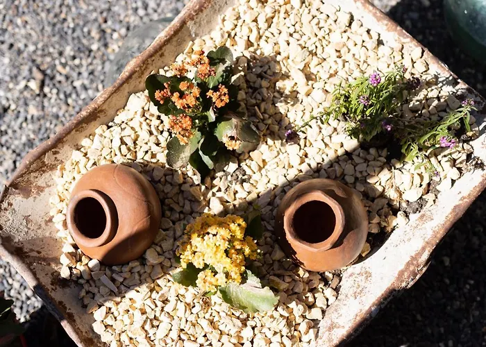 Latas Del Almendro 2 * Santiago del Teide